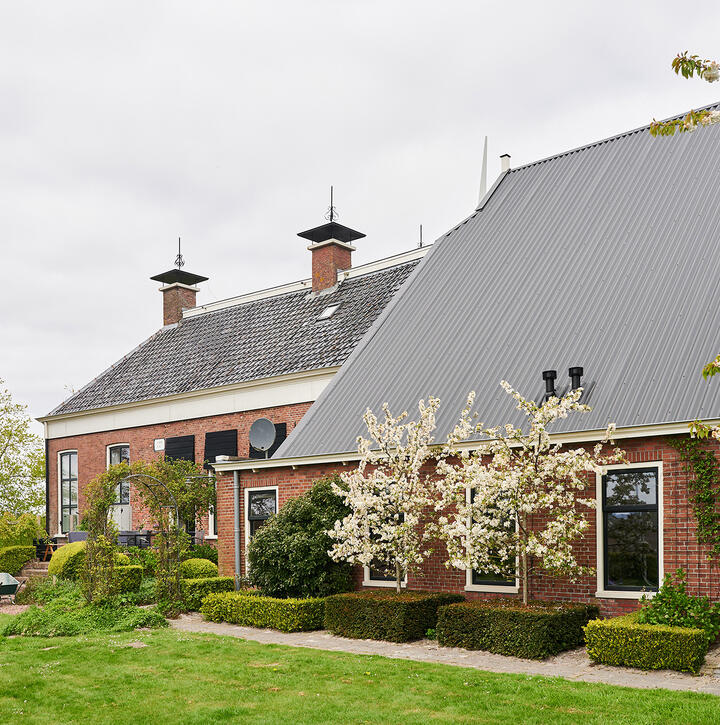 renovation