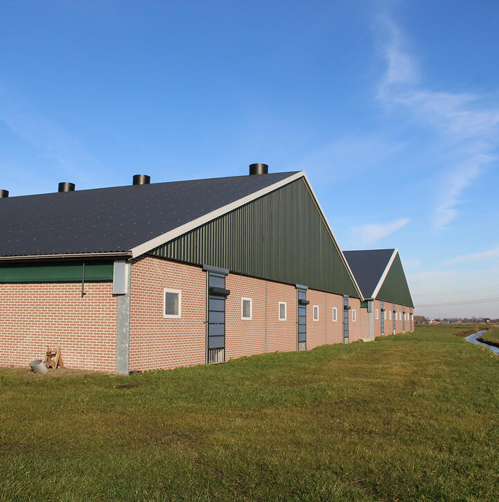 stables